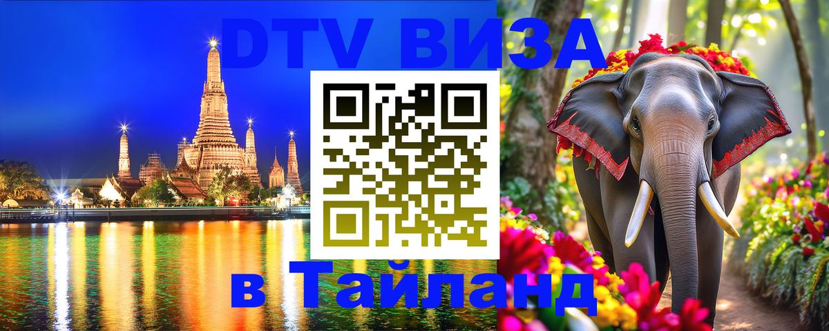 Сколько стоит DTV виза — актуальные цены, оформление даже без документов - 